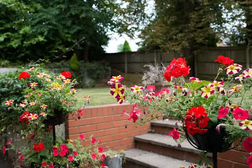 Arbour Lodge - Expert Care in Wolverhampton